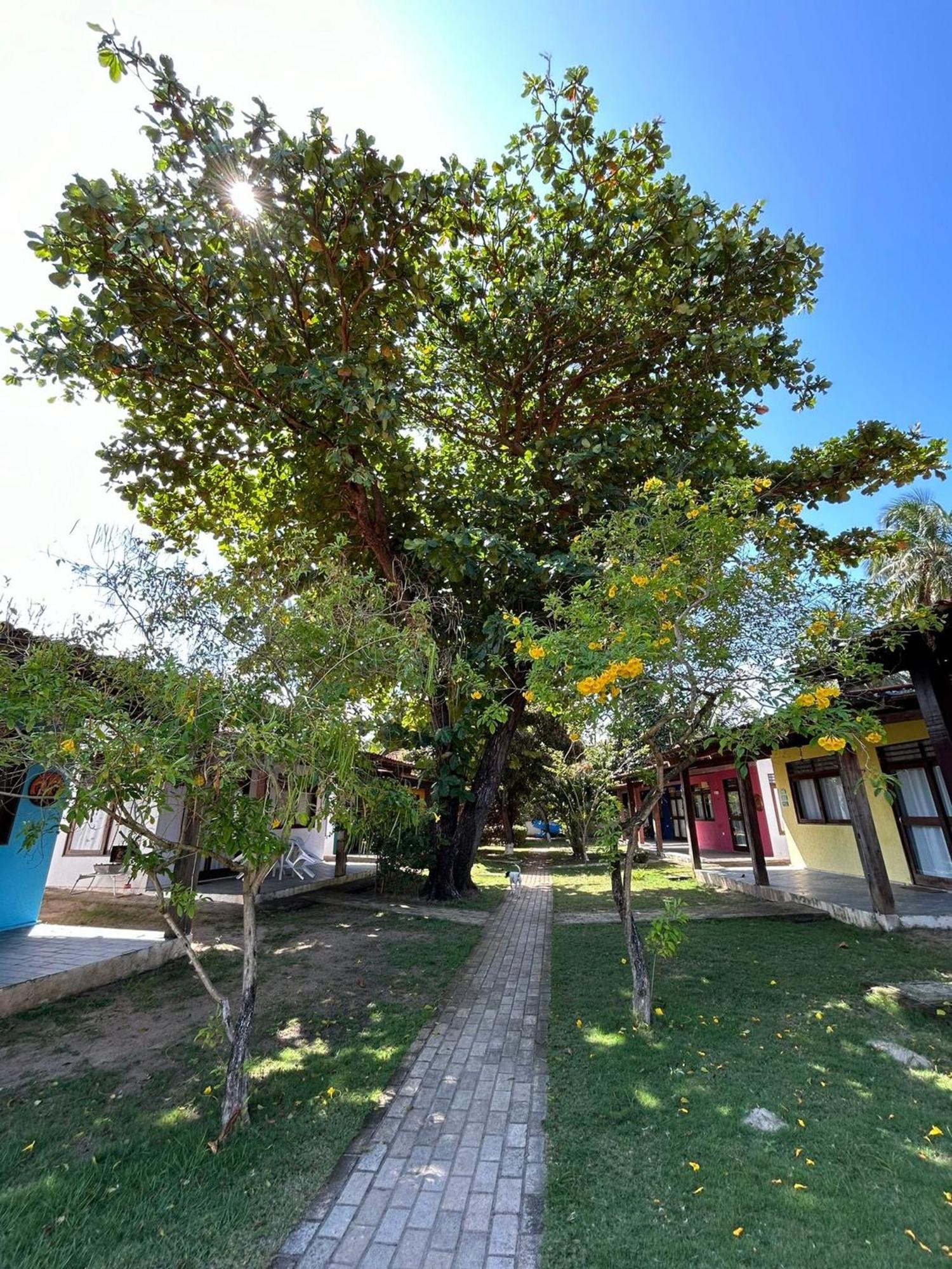 Chales Praias Brasileiras Maragogi Buitenkant foto