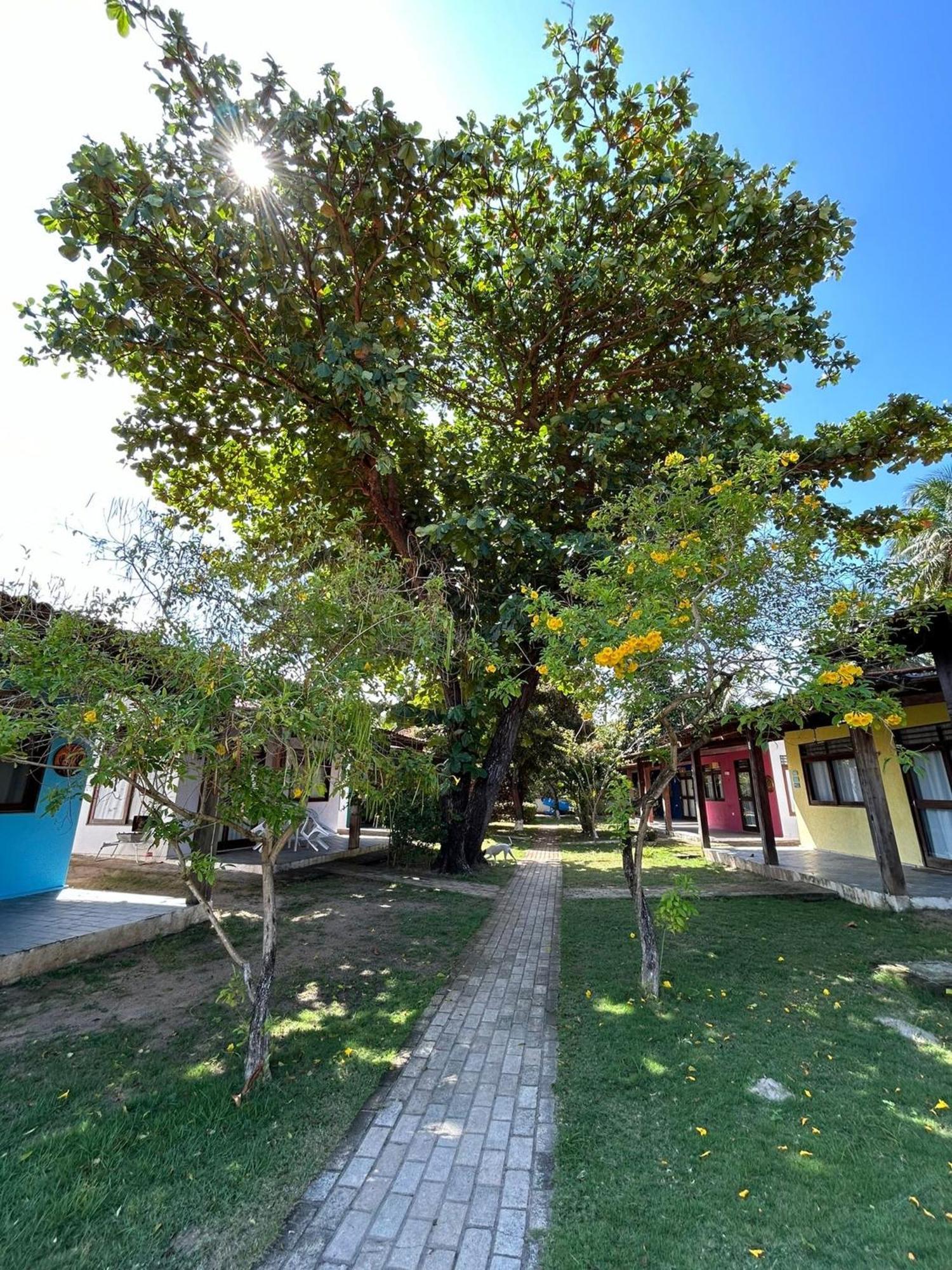 Chales Praias Brasileiras Maragogi Buitenkant foto